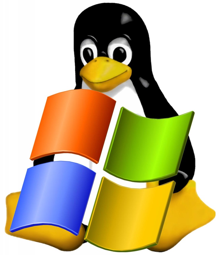   نصب و تنظیم سیستم عامل شبکه لینوکس